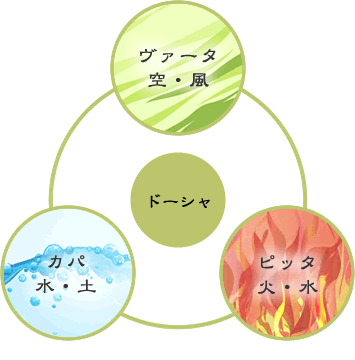 たかの友梨 メディアインフォメーション｜エステといえば“たかの友梨”