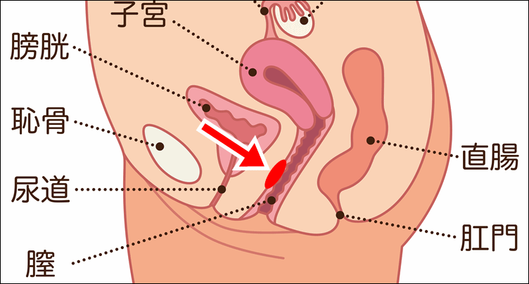 女がイキまくるGスポットの攻め方。愛撫方法・場所・触り方を徹底解説