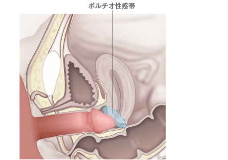 初4P乱交SEX【超タレント美少女が脱いだら全長18㎝巨大ペニクリ→脳バク確実】全員ノド奥イラマ口内発射→巨マラをケツマ○コ連続挿入で絶頂アクメ止まらず【おち○ぽミルク大量発射】最高スケベ尻穴交尾  - Gyutto.com