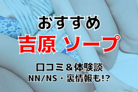 2024年】吉原のおすすめマットソープ6店を全34店舗から厳選！【NN/NS体験談】 | Trip-Partner[トリップパートナー]