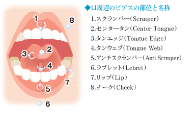 舌ピアスの裏側の位置、これってやばいですか？？？ - ちょうど真ん中 -