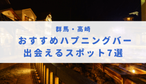 ハプニングバー（ハプバー）群馬・高崎・前橋でエロプレイ - ハプニングバー アグリーアブル