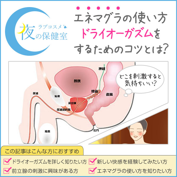 前立腺はどこにあるのか | アネロスジャパン |