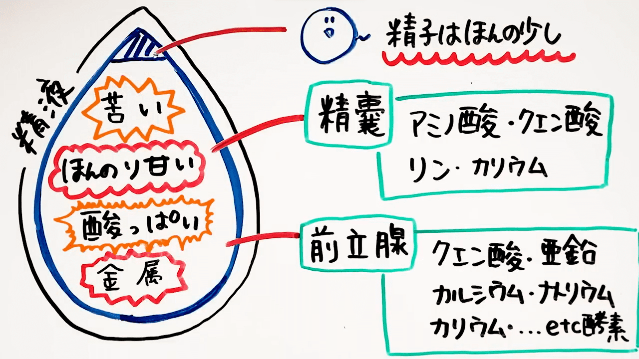 酸味の効果と調理の工夫｜管理栄養士のコラム（2/3）｜男性のための精の付く料理レシピ集【浜松町第一クリニック】