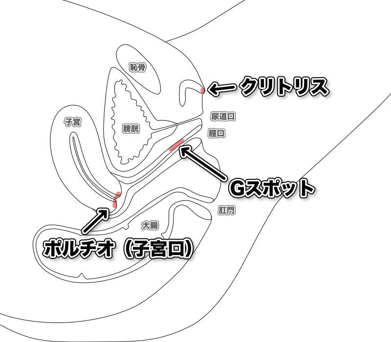 Gスポット、AGスポットの愛撫方法 /前編