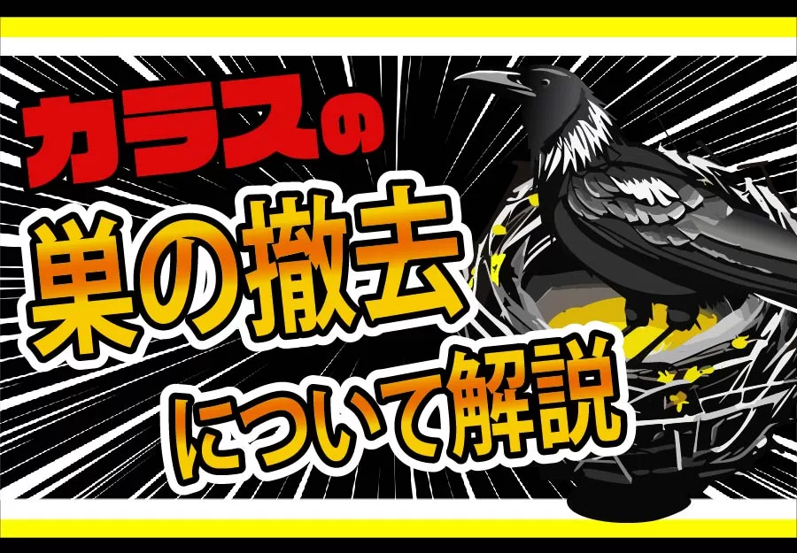 ドラバラ鈴井の巣DVD第1弾 「雅楽戦隊ホワイトストーンズ～雅びやかな愛の戦士たち～」 中古DVD・ブルーレイ |