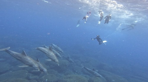 アーバントラスト株式会社 | 須磨シーに夏休みの平日に行ってきました🐬 実際に行って感じた混雑具合をレポします。 