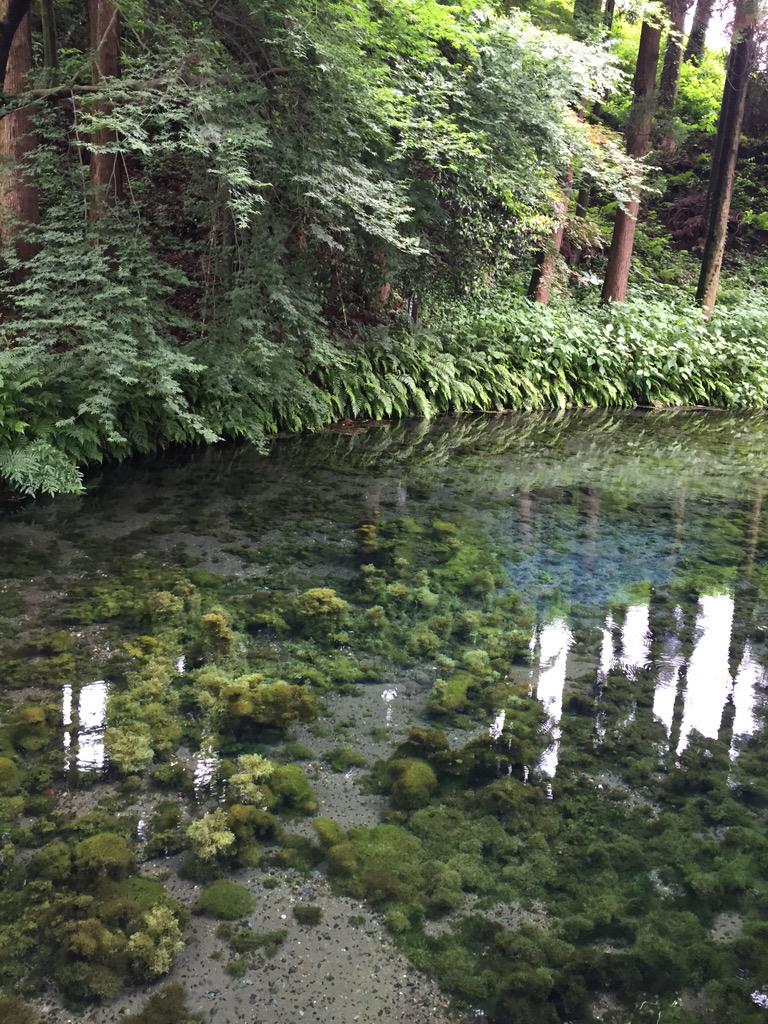 心療内科あこアロマガーデンクリニック様 | 医院見学 | 梅華会グループ