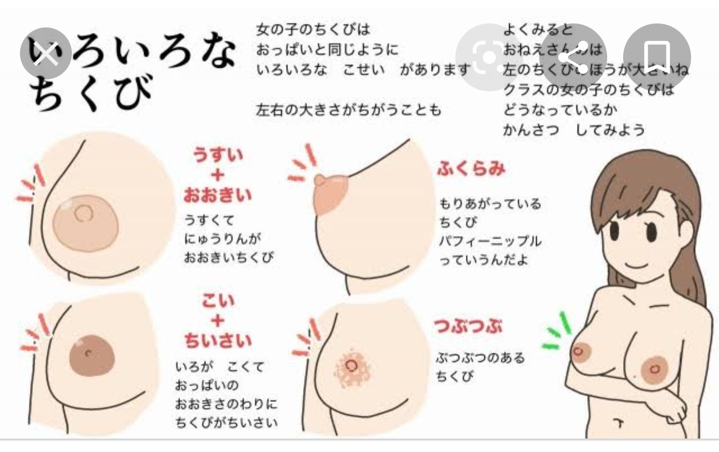 画像】パフィーニップルとかいうシコれる乳首ｗｗｗｗｗｗ – アダルトギーク -adult geek-