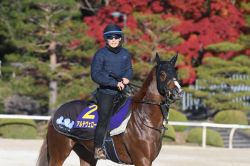 有名人の予想に乗ろう！】桜花賞2020 純烈・酒井さん、徳光さんほかズラリ！競馬大好き芸能人・著名人がファイナルジャッジ！｜競馬ニュース｜競馬予想 のウマニティ