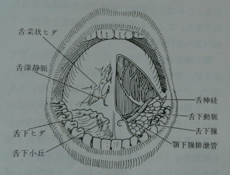 舌ピアス 透明 14G