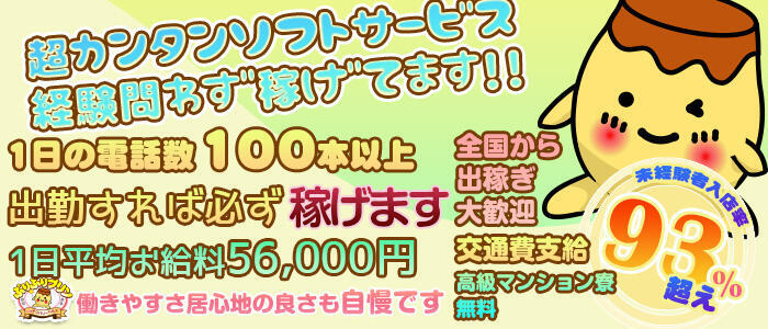 茨城｜風俗出稼ぎ高収入求人[出稼ぎバニラ](2ページ目)