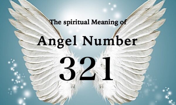 ANGEL NUMBER たたき込ん Oracle cards