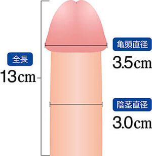 シリコンボール・ペニスリング ： 男性器（包茎、長茎など）：美容外科