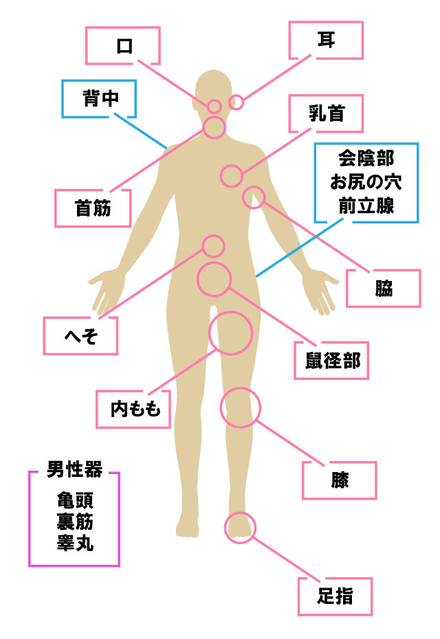 女性が1番感じる性感帯はどこ？攻められたい場所を聞いてみました。 | VOLSTANISH