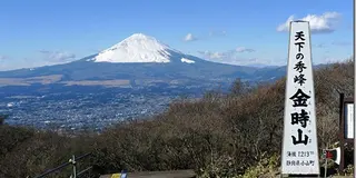 体験談】神田のヘルス「セクシーキャット神田店」は本番（基盤）可？口コミや料金・おすすめ嬢を公開 | Mr.Jのエンタメブログ