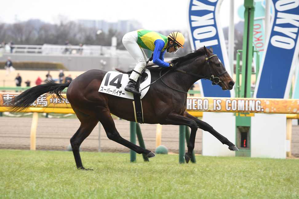 東京5R新馬】アーモンドアイ初子アロンズロッド 4着で初陣飾れず（スポニチ） | 毎日新聞