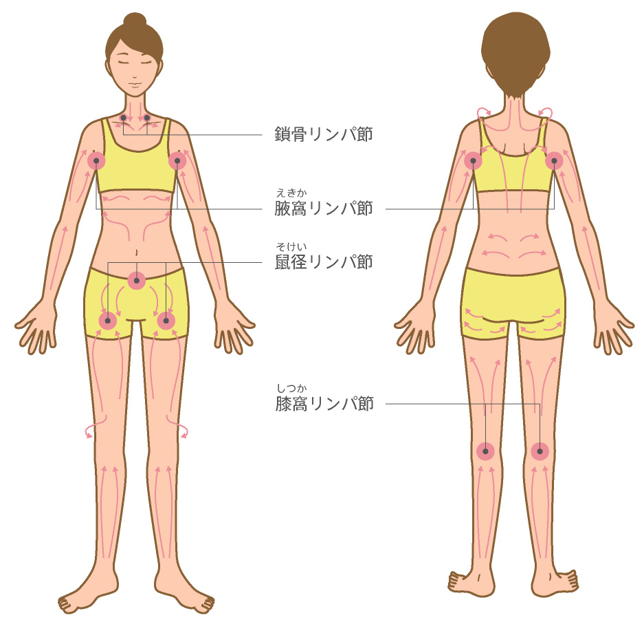 楽にヤセたいなら、リンパを流す！ 脂肪が燃える「リンパの魔法」 ｜ からだにいいこと