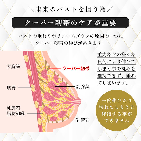 クーパー靱帯とは？伸びる・切れる原因や再生可能か詳しく解説！ | 銀座マイアミ美容外科