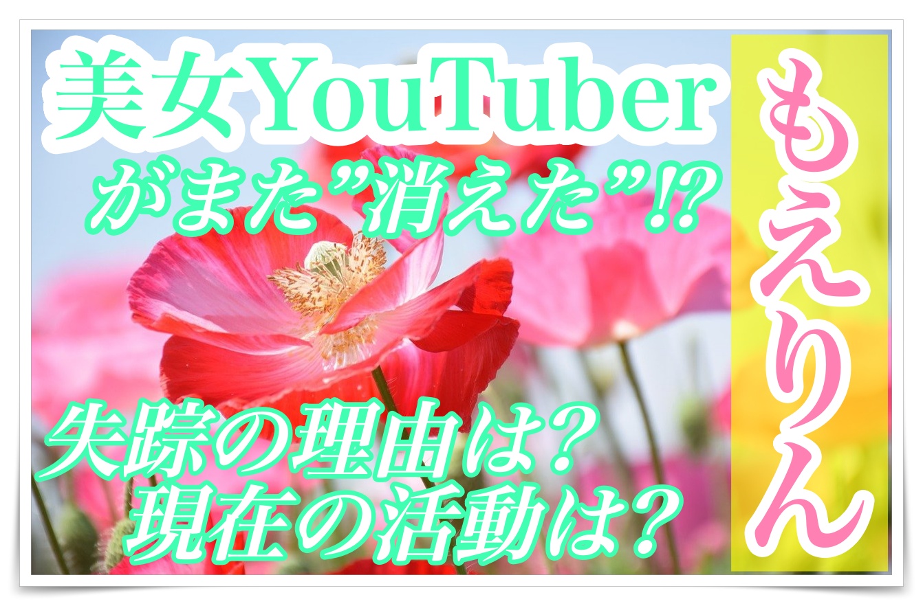 もえりん(YouTuber)の現在は？消えた理由も調べてみた！