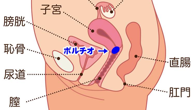 正常位の気持ちいいやり方！イクための角度 - 夜の保健室