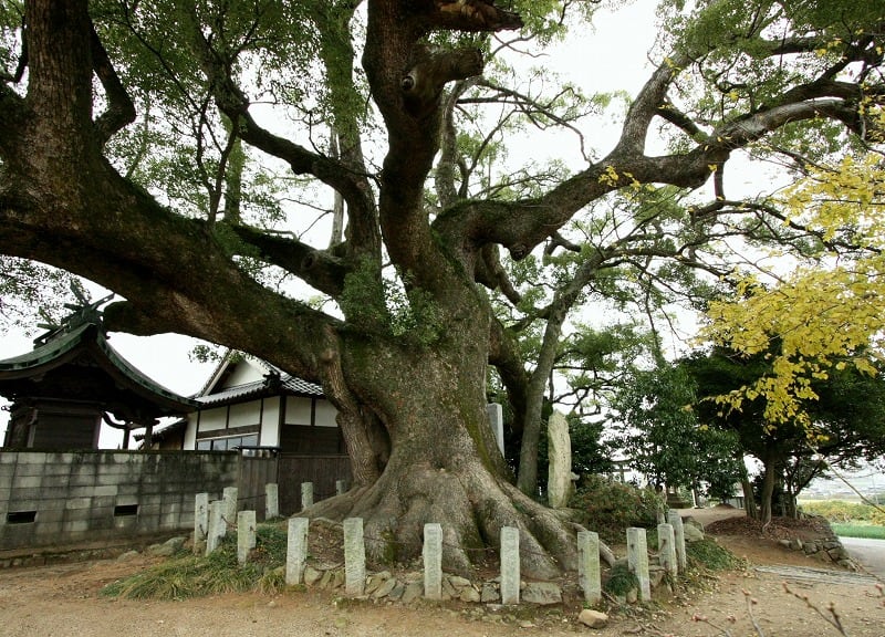 鶴橋】2022年2月に竣工したジョイア・ルナ & ジョイア・ソル