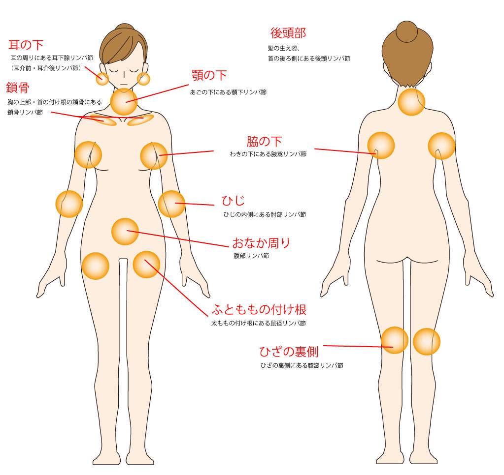 そけい部のマッサージ、なにがいいの？「やり方まとめ」 | 美的.com