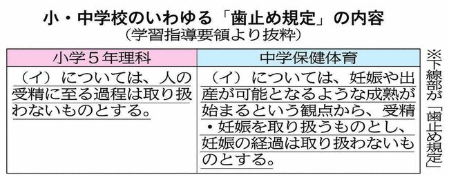 妊娠中期（安定期）はいつからいつまで？過ごし方のポイントと注意点 | 健康サイト