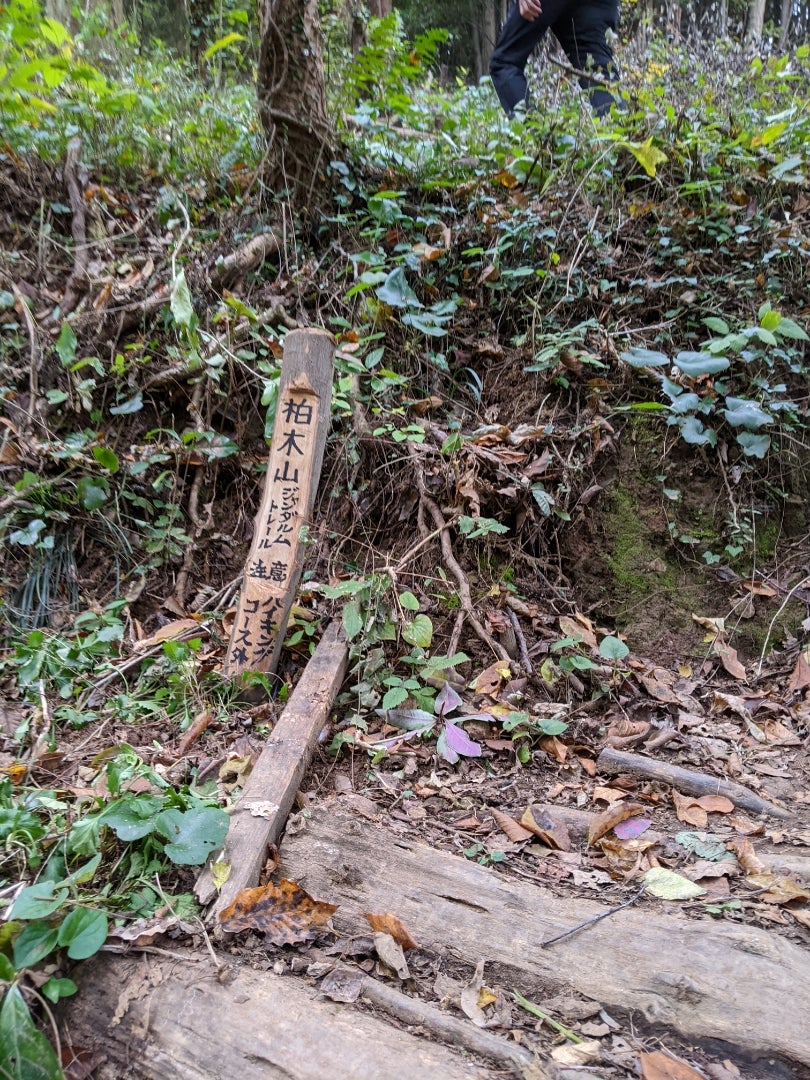 飯能のジャンダルム行ってきました! 低山サイコー! / getting _lost_in_japanさんの天覧山・多峯主山・天覚山の活動データ