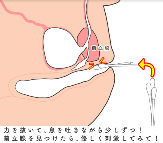 無修正ライブチャット]ノリノリで脱ぎ乳首先端コリコリする貧乳チャット素人女子！続いて下からアングルクパァ！アナルも開発中だぞ！ | 