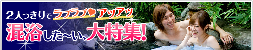 愛知県知多郡南知多町の温泉(混浴風呂) 【日本全国温泉ガイド】