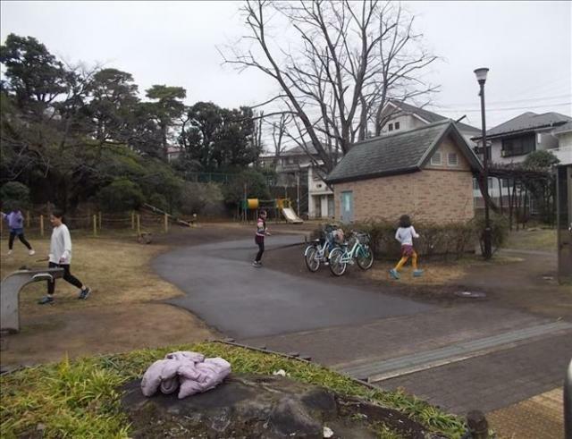 写真 : 久我山つくし公園