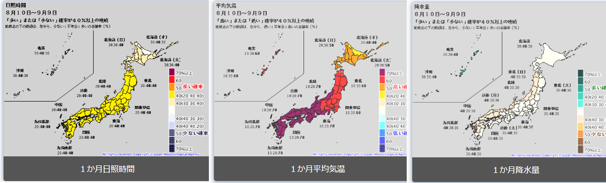 □物件番号7732 平塚海側！昭和レトロな平屋！3K+庭+敷地内無料P有！2022年内装リフォーム済み！8万円！ | 茅ヶ崎サザン通りの不動産