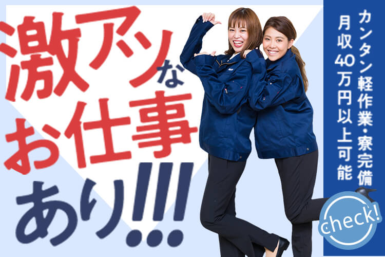 とらばーゆ】株式会社リクルーティング・デザイン 三河オフィスの求人・転職詳細｜女性の求人・女性の転職情報