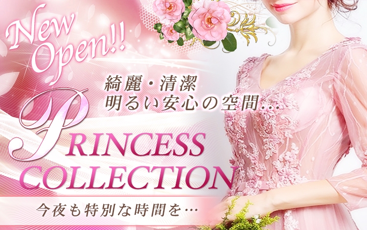 PRINCESS COLLECTION - 近江八幡/ピンサロ｜風俗じゃぱん