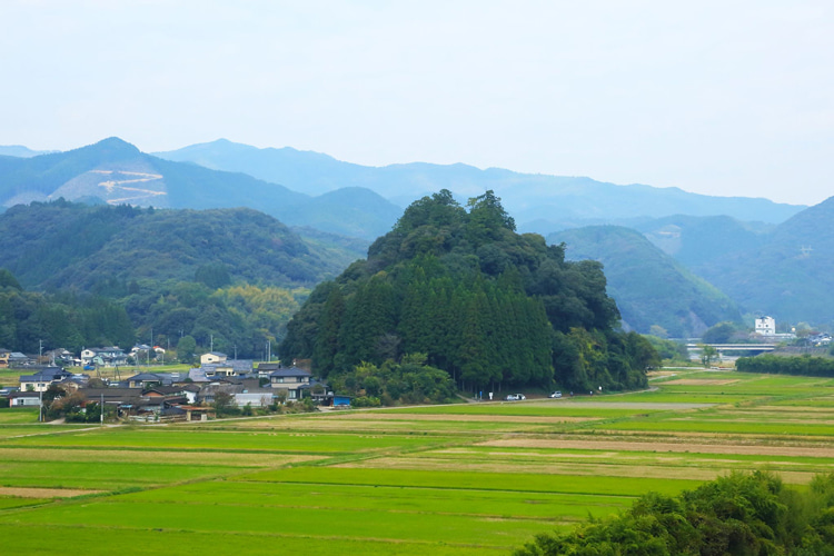 さがら温泉 茶湯里 -