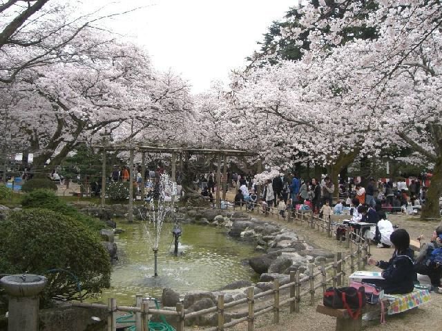 丸山 里桜 |