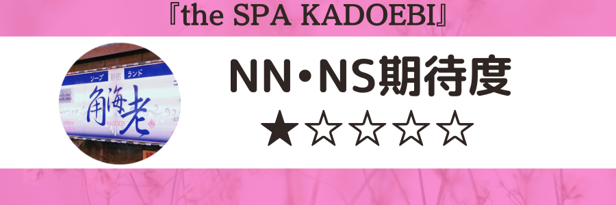 東京都】新宿でNS/NNできる高級ソープランドまとめ！【全9店舗】 | enjoy-night[エンジョイナイト]