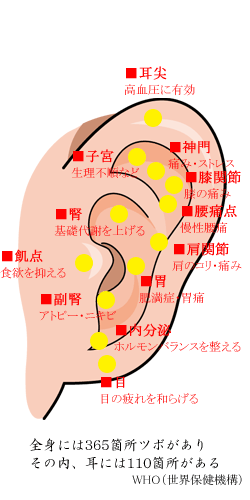 脳の海馬を鍛えるジェスチャートークで記憶力UP！Dr.根来が解説