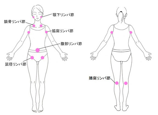 全身贅沢リンパマッサージ120分 | tol