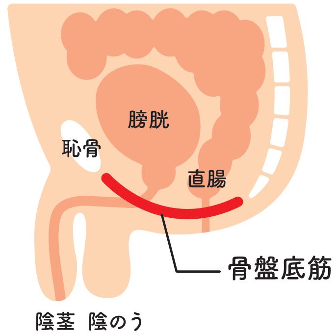 射精管理のやり方は？Hで最高潮の興奮を！ - 夜の保健室