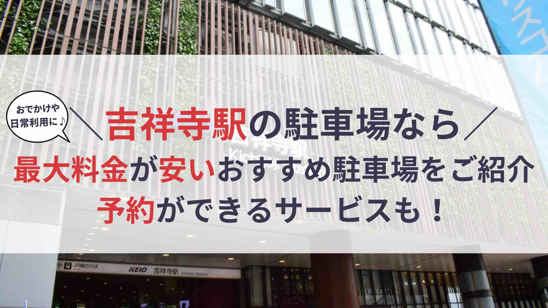 2024年版】吉祥寺の猫カフェ「てまりのおしろ」の体験レポート！ | 猫カフェナビ