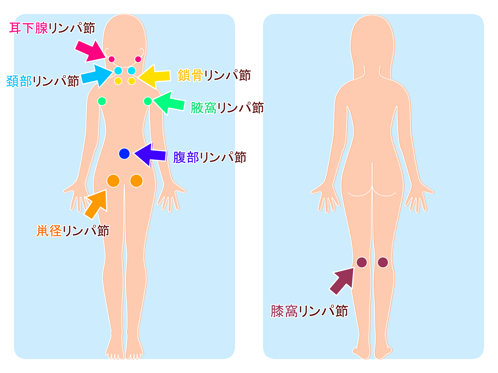 そけい部のマッサージ、なにがいいの？「やり方まとめ」 | 美的.com