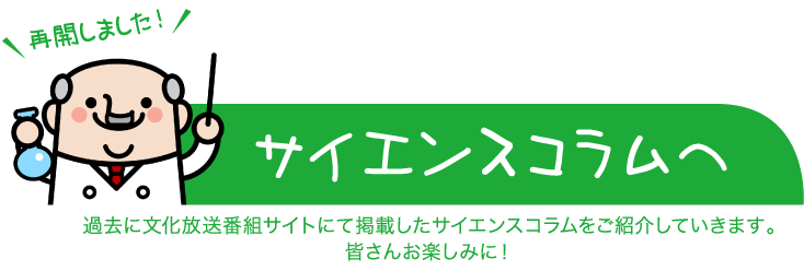 column / 夢吐き通信