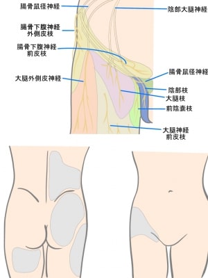 金沢城 鼠多門＆鼠多門橋 ついに完成！お披露目初日に行ってきました！