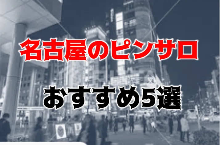 名古屋のおすすめピンサロ15選！2,000円台で遊べるコスパ最強店がいっぱい！ | enjoy-night[エンジョイナイト]