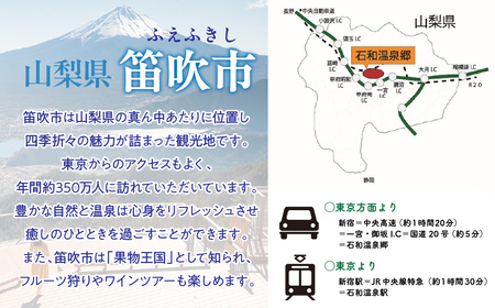 公共交通機関で行く石和温泉と甲府1泊2日の一人旅(1日目)』石和温泉(山梨県)の旅行記・ブログ by Pikachu