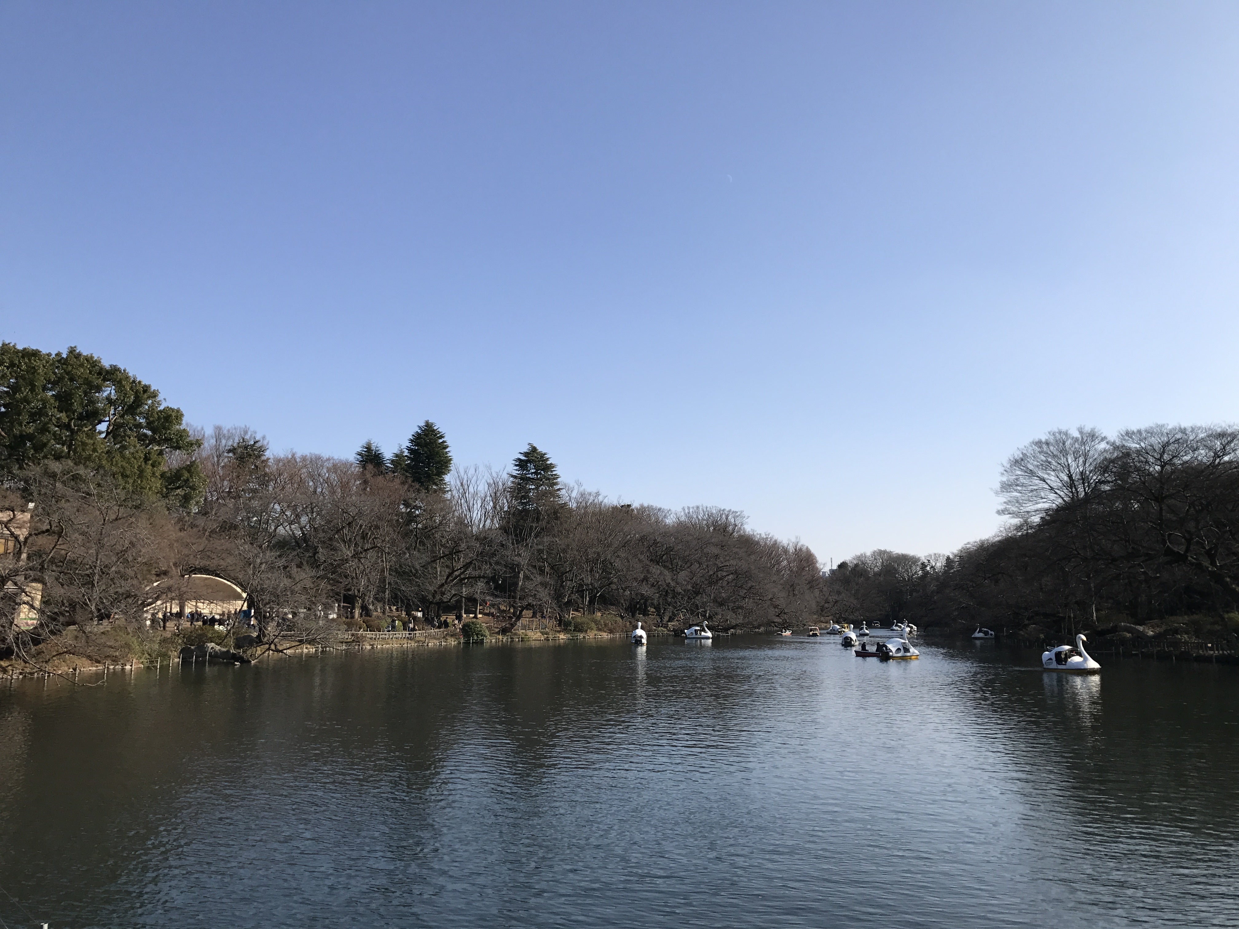 吉05] 調布駅北口～野ヶ谷～吉祥寺駅中央口: 多摩地域希少バス方向幕展示館