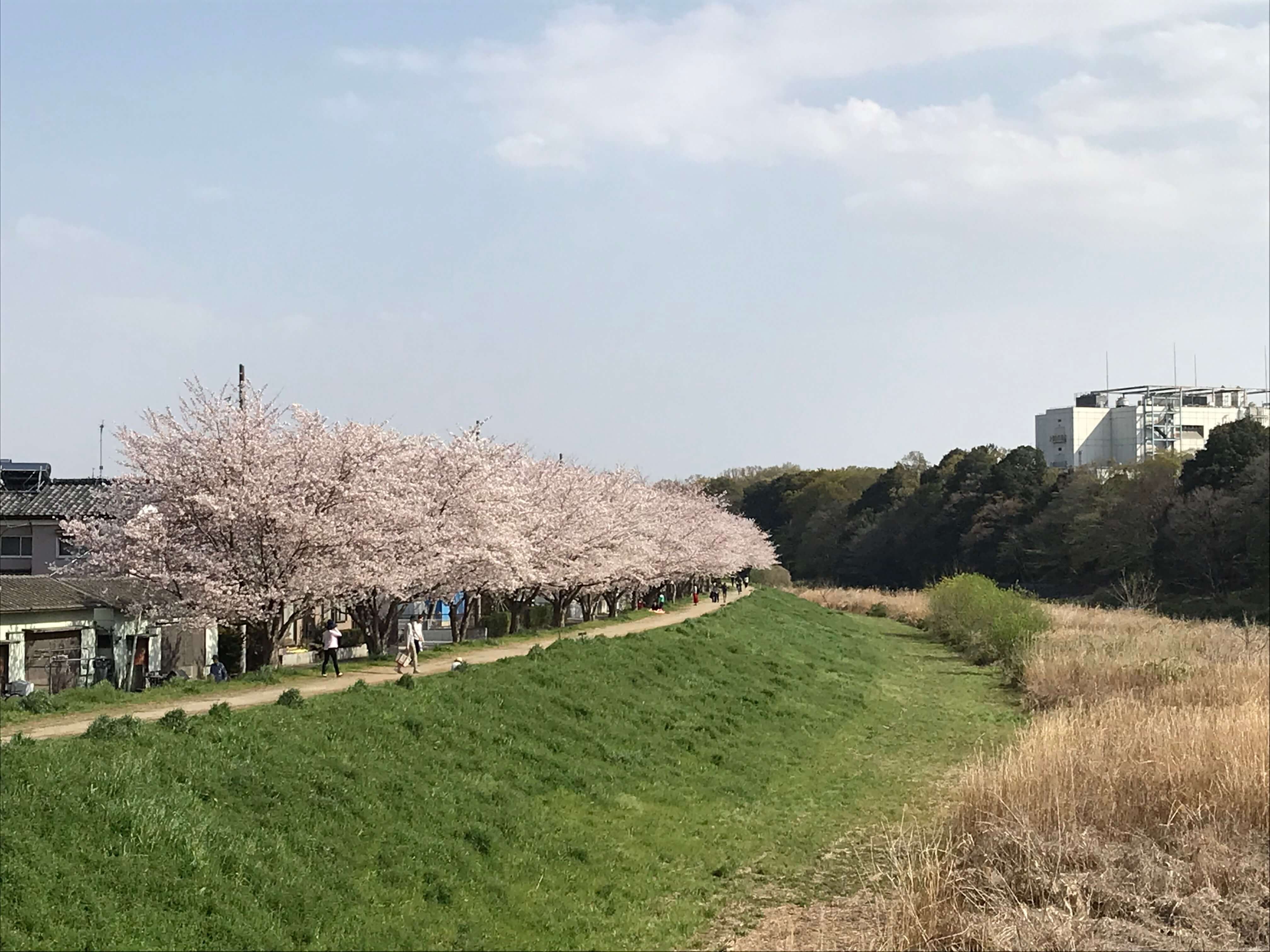 ふじみ野市立福岡河岸記念館 クチコミ・アクセス・営業時間｜新座・朝霞・和光・志木【フォートラベル】