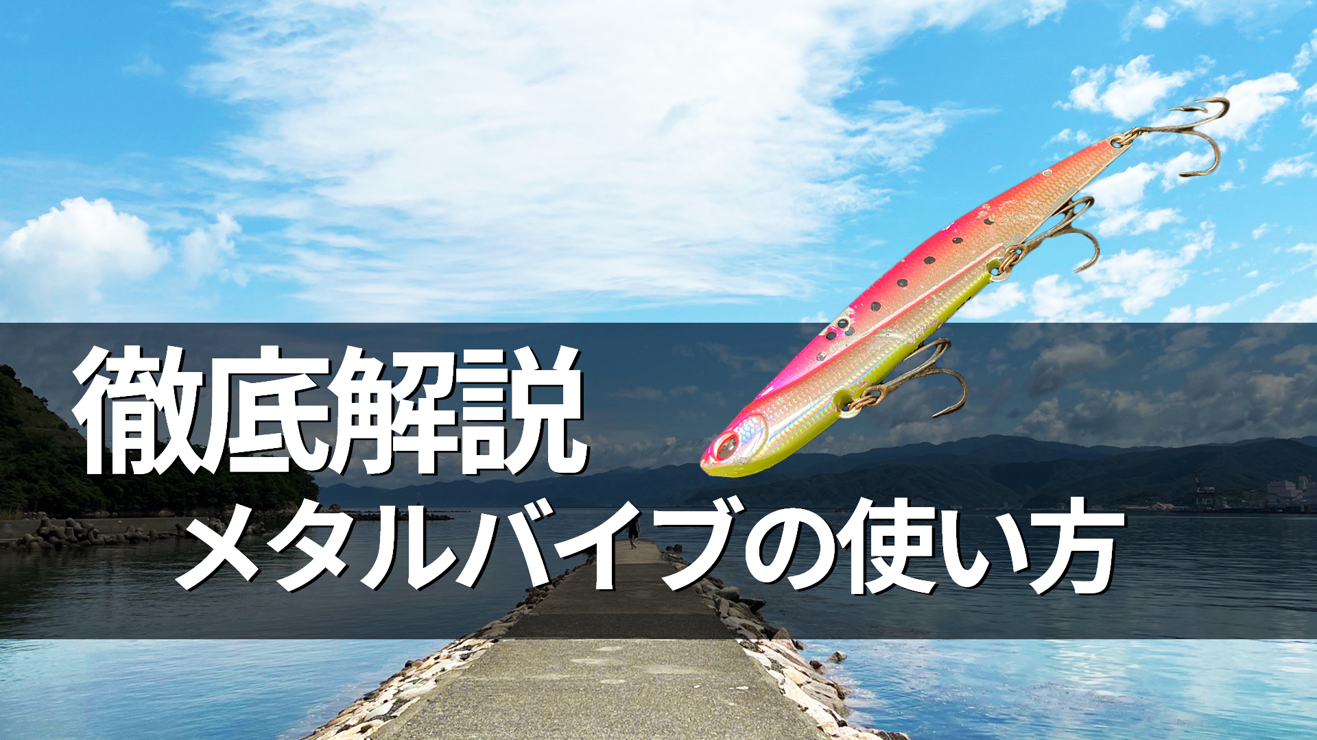 ワイルドワン流「バイブの使い方」完全解説 | 大人のおもちゃ店舗&通販 ワイルドワン最新情報！